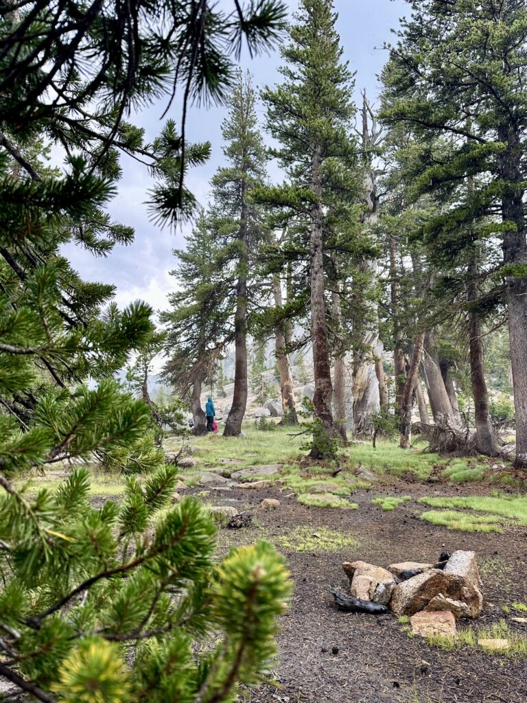 Campsite at Smedberg Lake at mile 969.9 of the Pacific Crest Trail