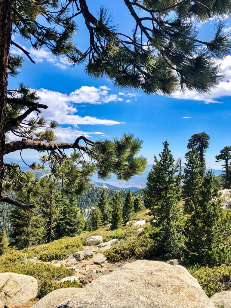 Mt San Jacinto State Park Wilderness