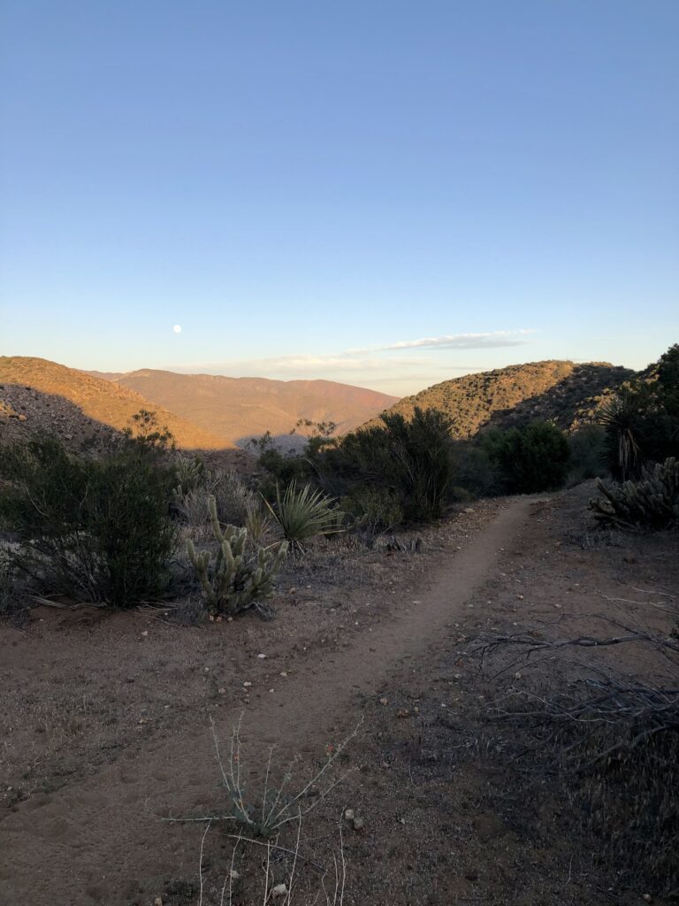 Section B of the Pacific Crest Trail in a remote corner of Anza Borrego State Park around mile 140