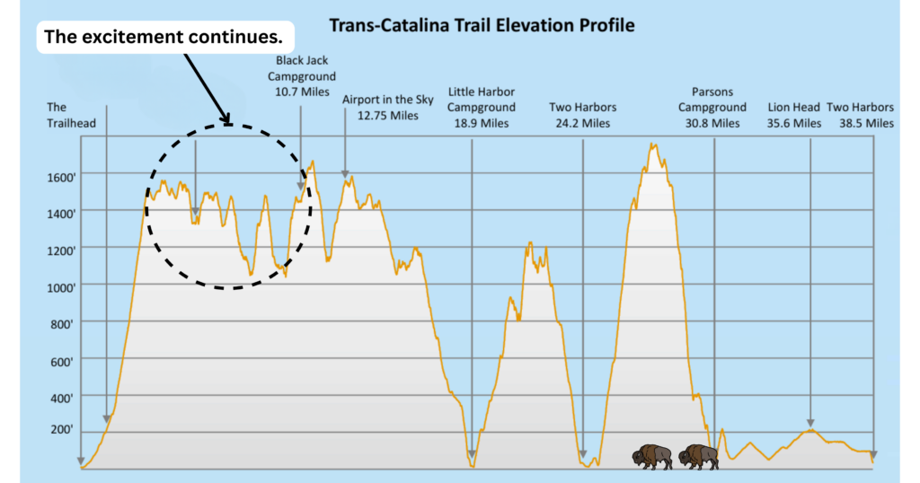 Elevation profile map of the Trans Catalina Trail, hiking to Blackjack Campground on Day 1 of your thru hike. 