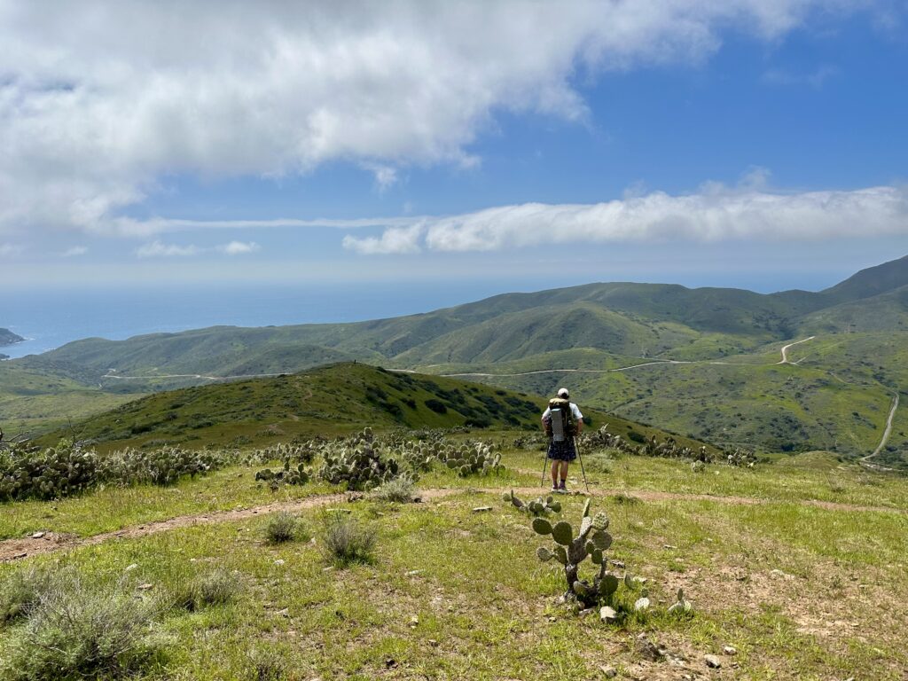 Trans Catalina Trail