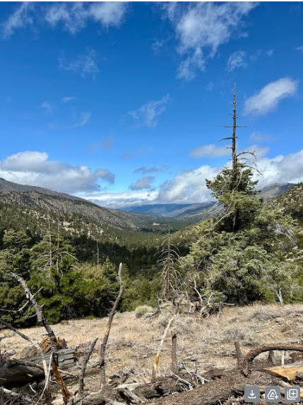 Leadership Lessons from the Wilderness: Getting Lost on the PCT.