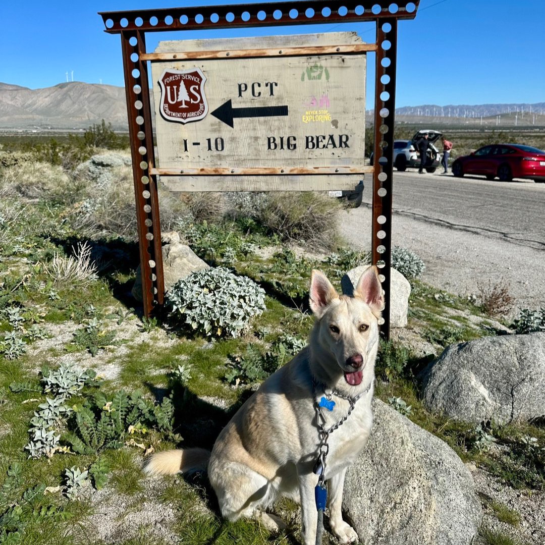 We Need to Keep Wild Promises to Ourselves